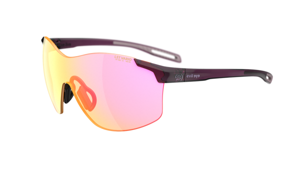 vistair_d_brombeeretransparent_brightourolemirror_UNI