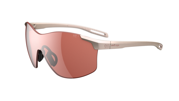 vistair_d_champagnemetallic_activesilber_UNI